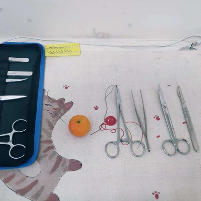 用桔子练习“剖腹产”手术（二）